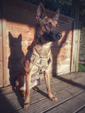 HARNAIS TACTIQUE POUR CHIEN HAUTE RÉSISTANCE