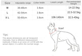 Au choix Laisse collier tactique ultra résistant pour chien