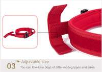 Au choix Laisse collier tactique ultra résistant pour chien