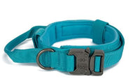 Au choix Laisse collier tactique ultra résistant pour chien