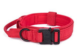 Au choix Laisse collier tactique ultra résistant pour chien