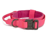 Au choix Laisse collier tactique ultra résistant pour chien