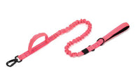 Au choix Laisse collier tactique ultra résistant pour chien