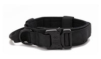 Au choix Laisse collier tactique ultra résistant pour chien